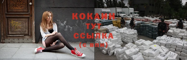 гашик Балахна