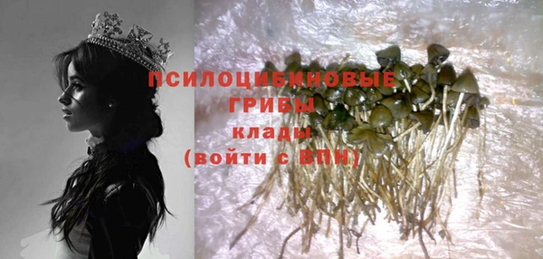 стаф Балабаново
