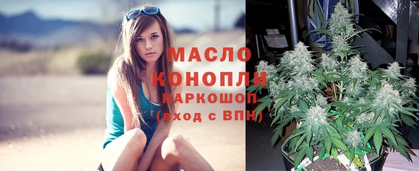гашик Балахна
