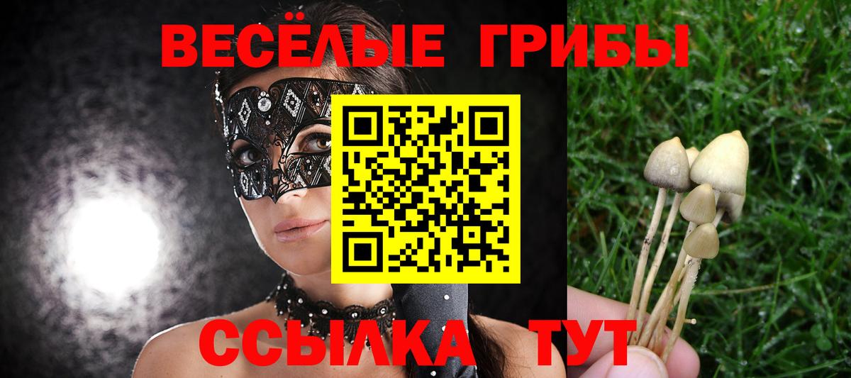 Галлюциногенные грибы Psilocybe Ногинск